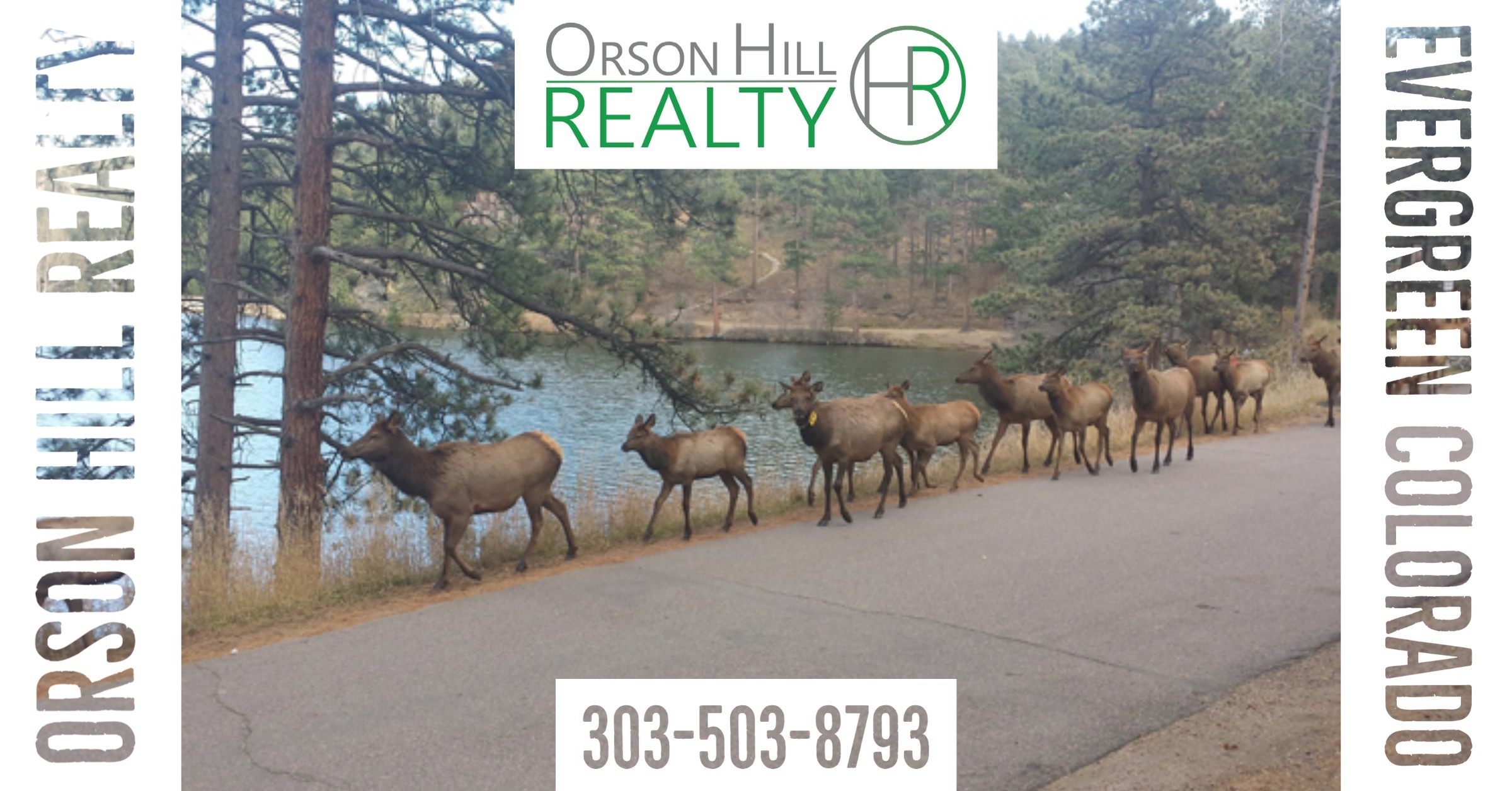 Real estate agents evergreen CO